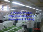 Fresh peas in Packing