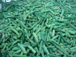 cut green bean